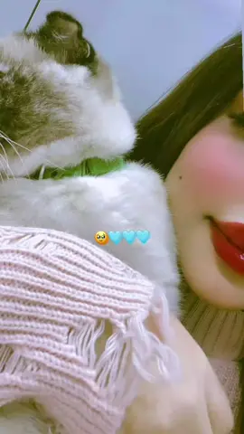 #كربلاء #بغداد #نجف #الايكات생일축하해사랑해❤_فولو_متابعة💛 #تعليقات_ورداتي🌸🌸 