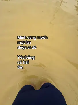 @Quang Sáng #_qsangg #fyp #tamtrang #fbtxuhuong 