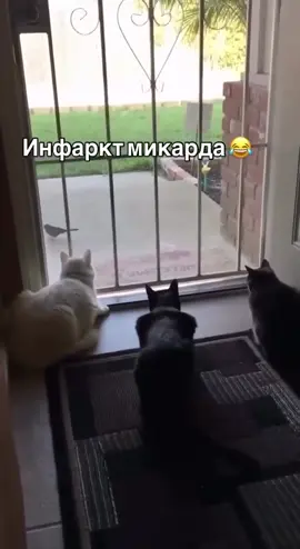 #😈 