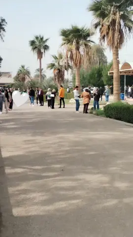 #شارع الرئاسة جامعة بابل#جامعة المستقبل#جامعة كربلاء#جامعة الموصل#جامعة بغداد