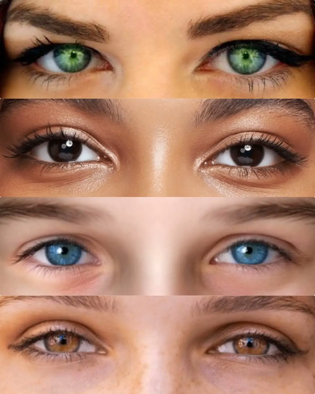 #eyes #khabib #islammakhachev #khamzatchimaev #sharamagomedov 