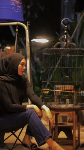 Memahami karakter burung itu perlu agar supaya kita tahu mau di bawa ke arah mana burung kita 