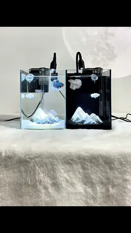 Hồ mini đơn đôi nuôi cá betta #thịnhhành #cácảnhthanh #thuỷsinh #bettafish #cácảnh 
