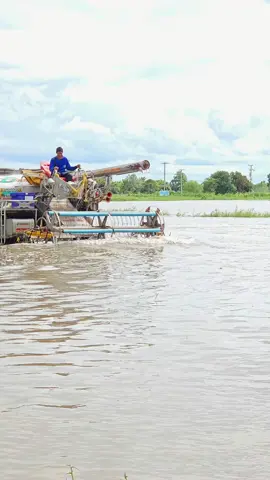 รถหรือเรือ #รถเกี่ยวข้าว #นาปีอีสาน🌾 #ศิษย์เจริญการช่าง #ปานเจริญการช่าง #Kimhanเกษตรพาเพลิน 