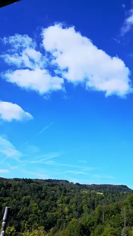 #صلو_على_رسول_الله_صل_الله_عليه_وسلم #ادعم_القران_الكريم 