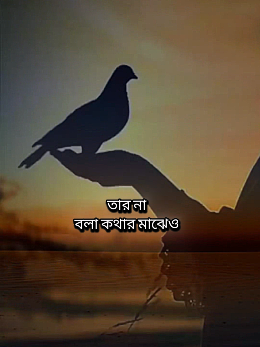 #🥰🥰🥰 #foryou @(সকাল...❤️‍🩹) 