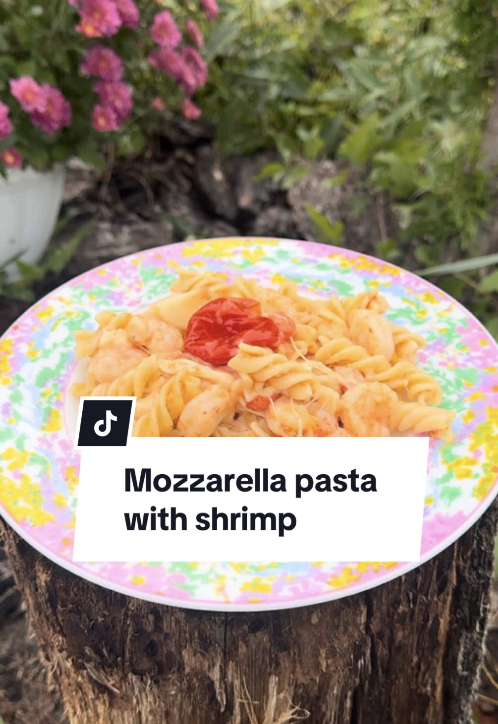 Mozzarella pasta with shrimp and tomatoes 🍝🦐🍅 Which one do you prefer – mozzarella or camembert? #airfryerfrau #pasta #easydinner #easyfood #airfryerrecipes 