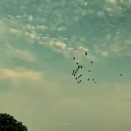 মানুষের মন হচ্ছে অক্টোবরের মতো ✨