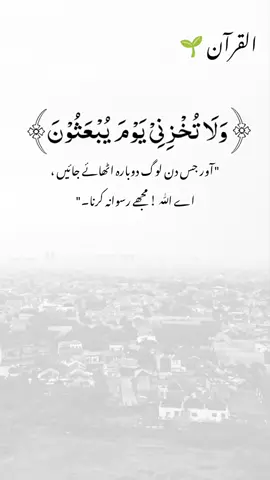 Beautiful Islamic Video 🥀  #HadithOfTheDay  #QuranQuotes  #IslamicKnowledge  #NamazReminder  #IslamicPosts 