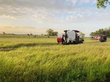 #❤️‍🩹🥺 #yanmar850 ##for_you_page💚 #agri_💚 #😈