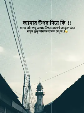 আমার উপর দিয়ে কি যাচ্ছে এটা শুধু আমার উপরওয়ালা'ই জানুক আর মানুষ শুধু আমাকে হাসতে দেখুক..! 😅#unfrezzmyaccount #typ #fouryou #1millionaudition #foryoupage @TikTok @TikTok Bangladesh @For You @everyone 