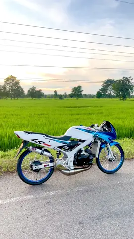 ได้แต่เข็น🥲 #ls #ls125 #ls125บ้าพลัง #ls125เเต่งสวย #ท้ายบ้านรัตน์ 