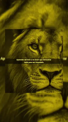 #creatorsearchinsights #motivacion