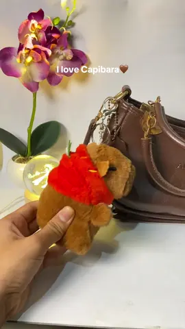 Gantungan tas capibara gemesh pol pengen cubit 🤏🏻 #capibara #gantungantas #keychain #baranglucu #barangunik 