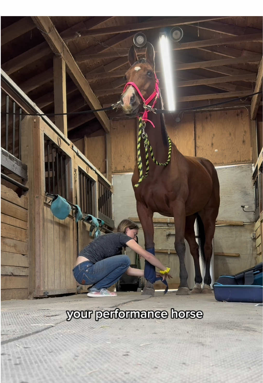 Horse people, you NEED these. Ice + compression + vibration + magnetic therapy… all in ONE boot. 👀 Affordable. Easy. Game-changing. 🐴✨ #EquinePerformance #h#horseh#horsecontentH#HorseCareE#EquineWellness#icetherapye#equinetherapyi#injuryrepairv#vibrationtherapyh#horselinktechm#magnetictherapyequinerehab