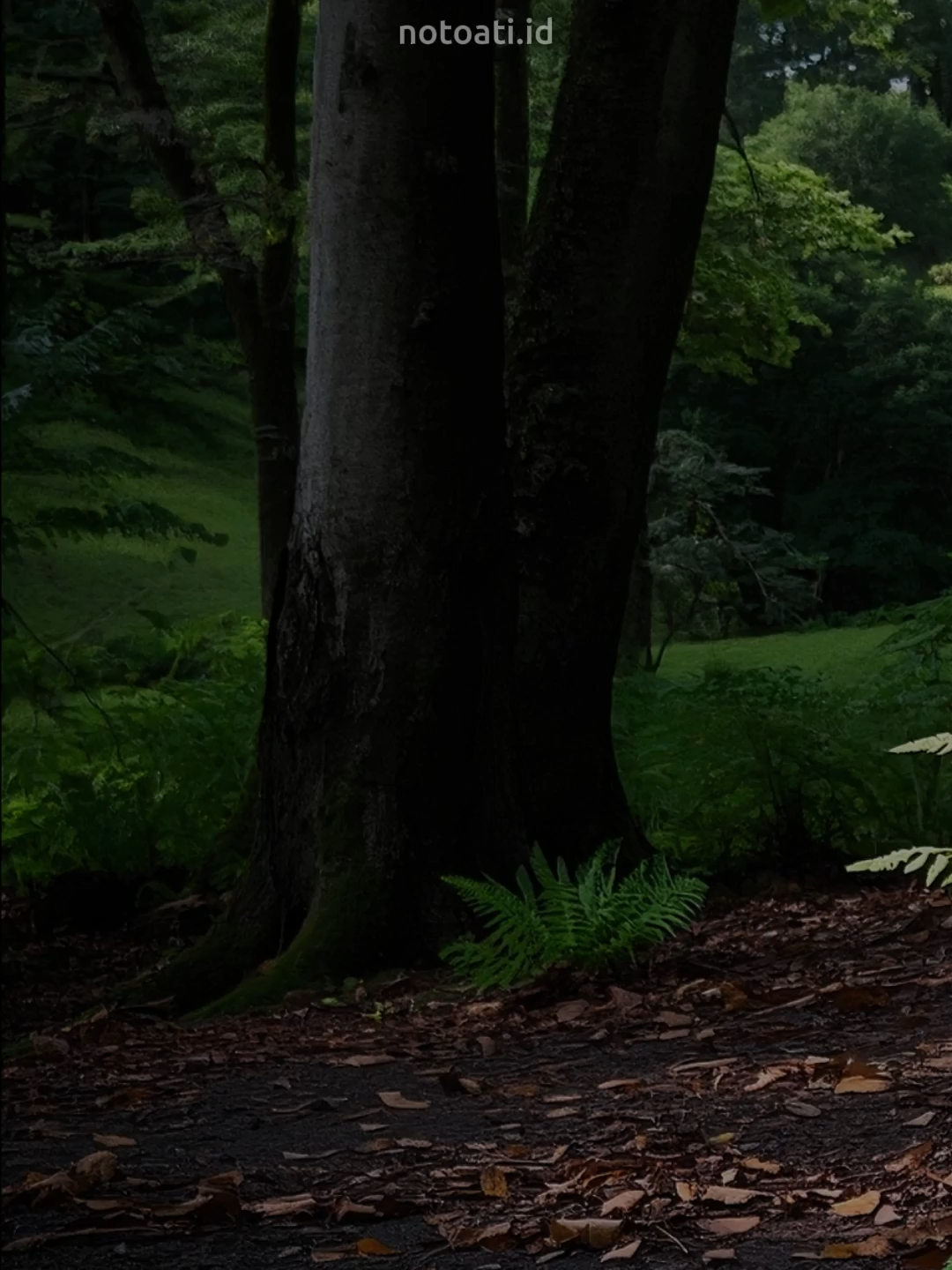 Jika kamu berhasil mengubur banyak keinginan, maka hatimu merdeka. Jika kamu serakah pada banyak keinginan, maka hatimu jadi budak (Ibnu Atthaʼillah). #katakatabijak #quotes #motivasi #inspirasi #status #story #reminder #pengingatdiri #islami #viral #fyp