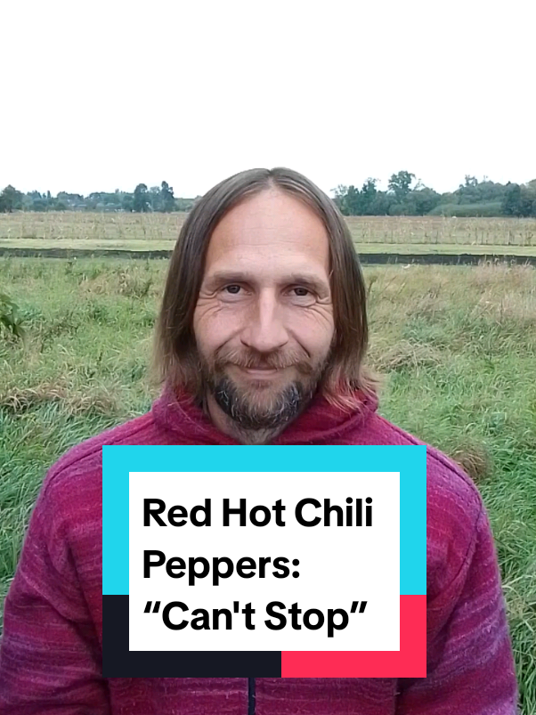 #redhotchilipeppers  #рок  #рокмузика #alternativerock 