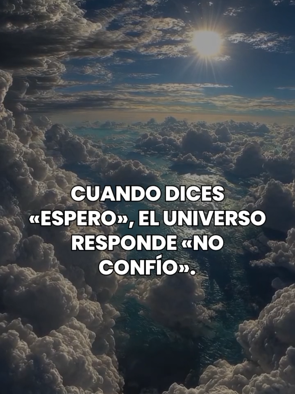 Sígueme para más contenido de valor sobre Manifestación 💫#manifestation #lavidaquemerezco #atraccion #leydeatraccion #prosperidade 