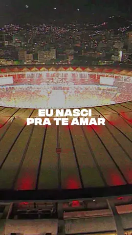 FLAMENGO 😍🔴⚫ #flamengo #creatorsearchinsight #vaiprofycaramba 
