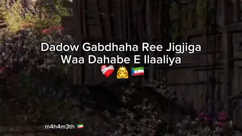 Ilaaliya 👸💖 #fyp #jigjiga #jigjiga_somali_galbeed #somalitiktok #m4h4m3th 