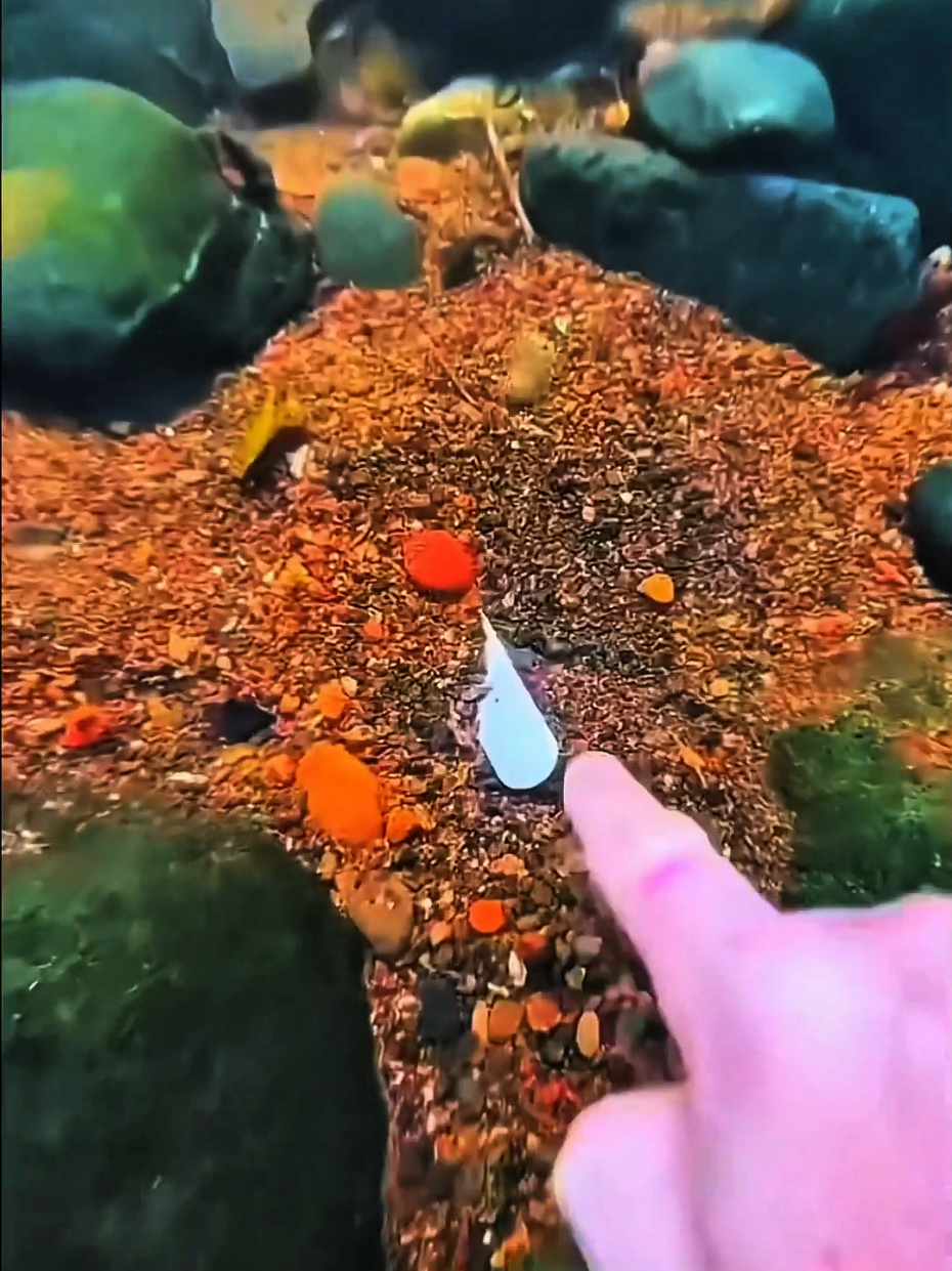 #scubadiving #satisfyingvideo #asmrtingles #asmrsounds ##asmrtiktoks 