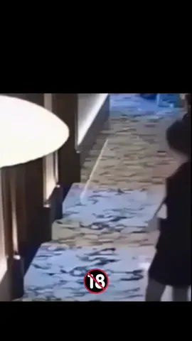 💥 Imagens extremamente pertubadoras. 😬 | 🚶‍♂️Pessoas se convertendo em animais 🐕 em Segundos. 😵‍💫😵‍💫😵😱  👉 Você acredita nas imagens?!  #misterio #noticias #ultimahora #extraterrestrial #ovni 