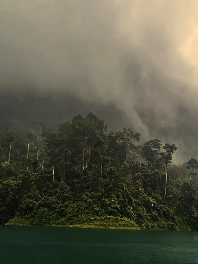 nature Tamil sound status  #sadmusictamil #naturesoundbgm #tamilmusical_ly #sadvibes #sadvibestamil 