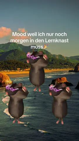 #MemeCut #fyp #viralvideos #viral #Meme 