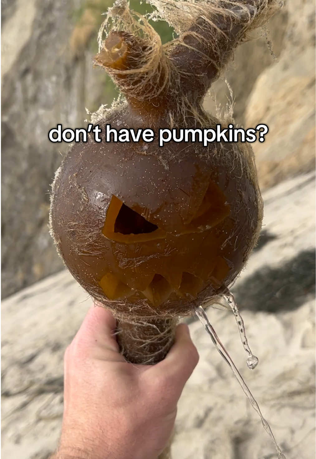 I like the one with the ridiculously long top 🎃 #halloween #spookyseason #kelp #california #fall 