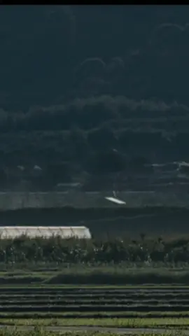 #tentangcinta #ipang #coverlagu #lirikvideo #kalacintamenggoda 