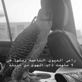 #محمد_عبده #foryou #foryoupage #fyp #اكسبلور 