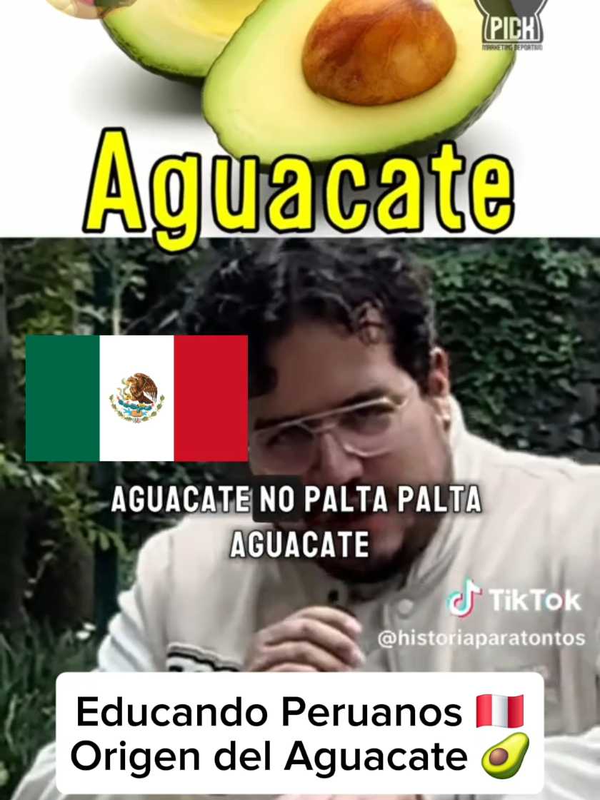 Educando Peruanos sobre el Origen del Aguacate  #palta #paltaperuana #mexico #avocado 