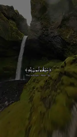 A peaceful reaction of the Holy Quran #@Quran//قرآن @Quran--قرآن @Holy Quran 🎧 @🆀🆄🆁🅰🅽 