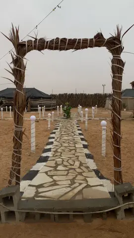 #اكسبلور #الشتاء #مخيمات_الرياض 