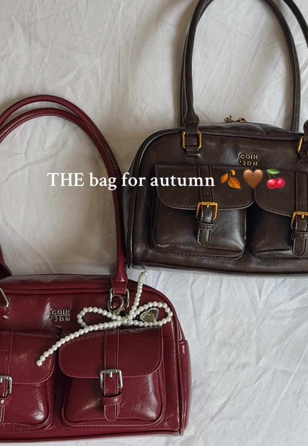 THE bag for autumn 🍂🤎🍒 #fallbag #autumn #bag #fyp #pourtoi 