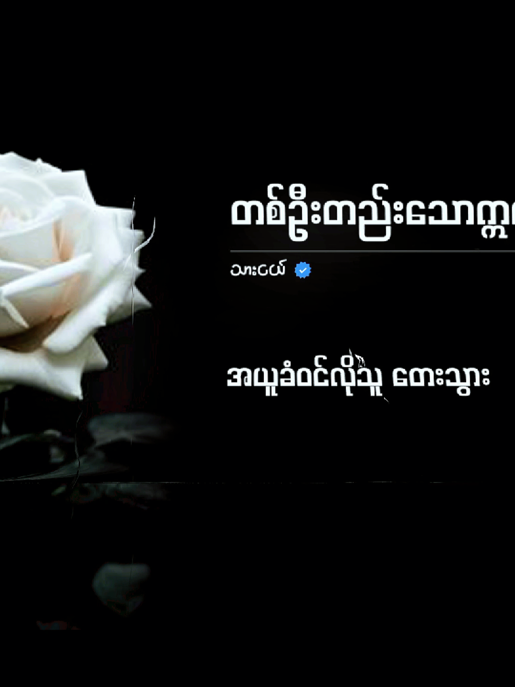 တစ်ဦးတည်းသောက္ကတ္ထိယ(သားငယ်)#တစ်ဦးတည်းသောက္ကတ္ထိယ #သားငယ် #fyp #foryou #lycris #lycrisedit #tiktoksong #musicofnightmare 