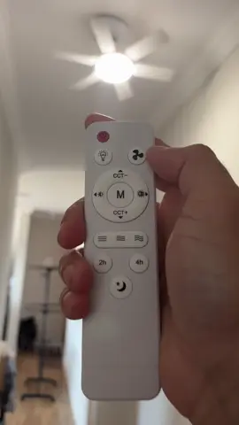 A famosa lâmpada com ventilador de teto 