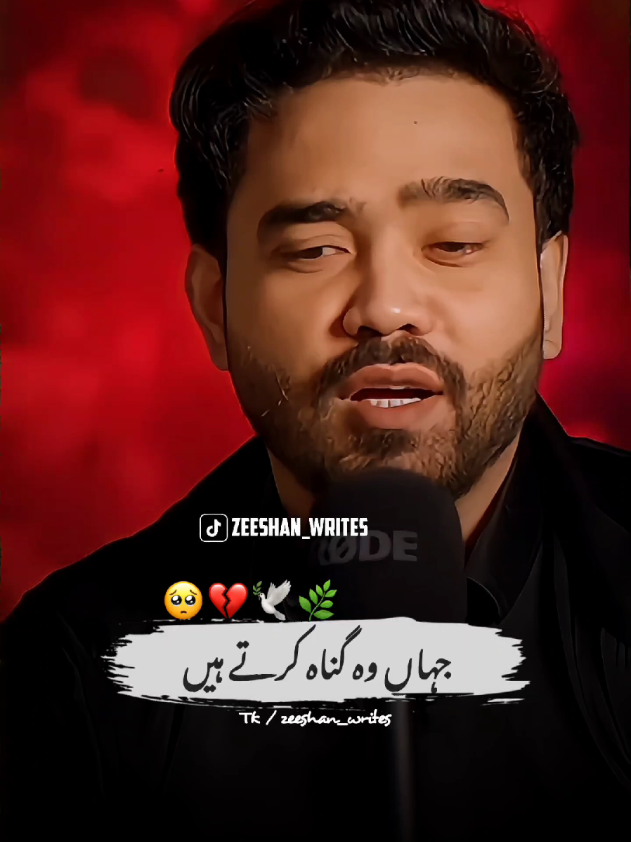 Dear TikTok Team Don't Underview My Videos~🥺💔#poetry #foryou #zeeshan_writes #1millionaudition #barkatuzmi 