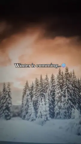 Best Winter fragrances from best vendor😈❄️ #winterfragrance #mensfragrance #fragrances #vendor #eu 