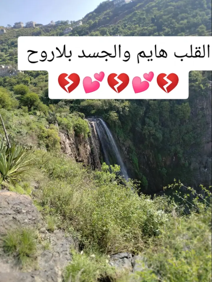 الجسد بلاروح#اكسبلورexplore #الدخله_الاسطوريه #حبيشيات #اكسبلورexplore #الكسبلوررررررررر #اكسبلورexplore #طربيات #يمني #الحب #