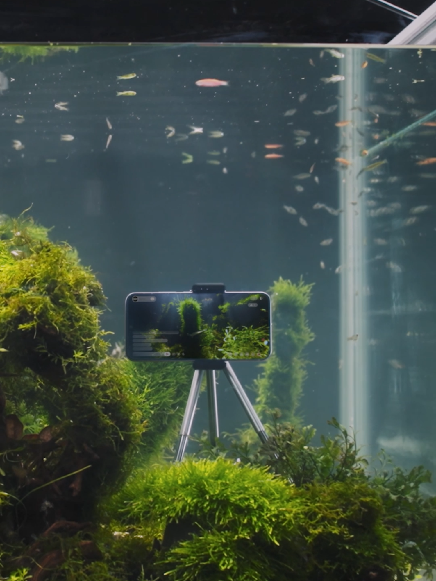 OPPO A6 Pro, the true Waterproof Champion. Tested live, proven underwater. #OPPOA6Pro #AlwaysBePro #ProWaterproof