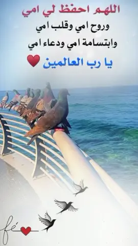 #اللهم_احفظ_امي_وجميع_امهات_المسلمين #foyoupage #youtube #for #هدوءالليل 