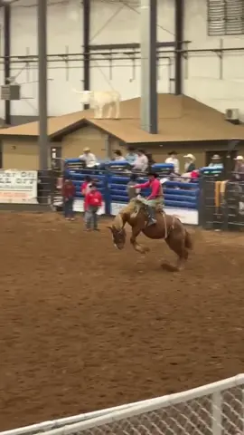 Another angle of my ride on Big Booty Judy! #saddlebronc #rodeo #rodeocowboy #buckinghorse #fyp 