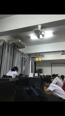 ฝันดีดีจ้า#เธรด #ฟีดเถอะขอร้อง 