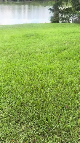 Gone fishing. #rightontime #fishing #getaway #fyp