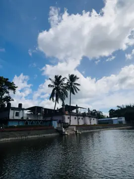 SONG 🎵 REPOST 🤛