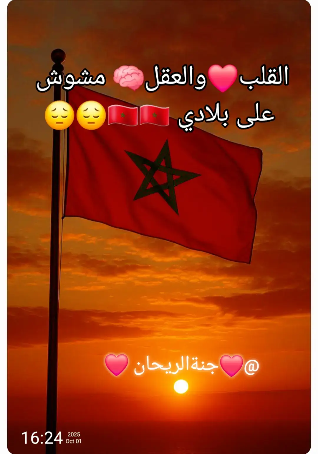#fouryou #fpy #Viral#المغرب #جنةالريحان 
