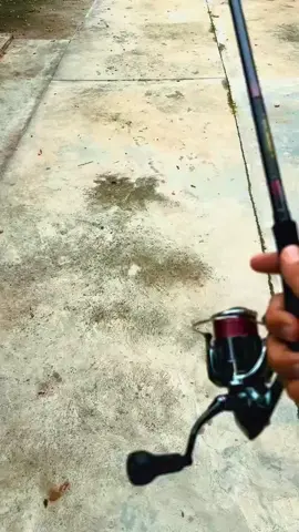 Peehhh,Harum Sangat🗿#fyppp #fyppppppppppppppppppppppp #shimanofishing #shimanoindonesia #mancingmania 
