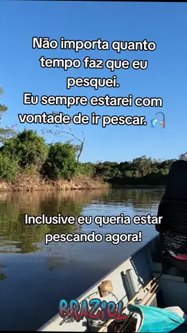 Ah como eu queria estar pescando agora 🎣😅🐟 #pescaria #brazielfish 