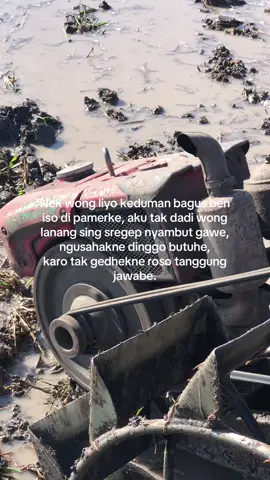 #xybca #fypシ゚ #petaniindonesia🇮🇩🇮🇩🇮🇩🌿🌿 #petanimuda 